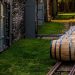 Wave’s whiskey fund buys first tranche of Kentucky bourbon