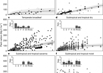 Mapping carbon accumulation potential from global natural forest regrowth