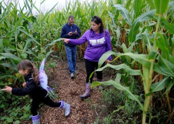 Lost Bearings Corn Maze at Bear Paw Beach opens; park offers other fall activities | Local News
