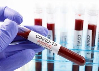 Coronavirus live updates: US state sees record rise in daily cases over last two weeks | National