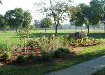 Council to get recommendations by year’s end for Upper Arlington’s Northam Park – News – ThisWeek Community News
