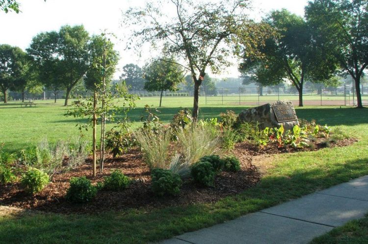 Council to get recommendations by year’s end for Upper Arlington’s Northam Park – News – ThisWeek Community News