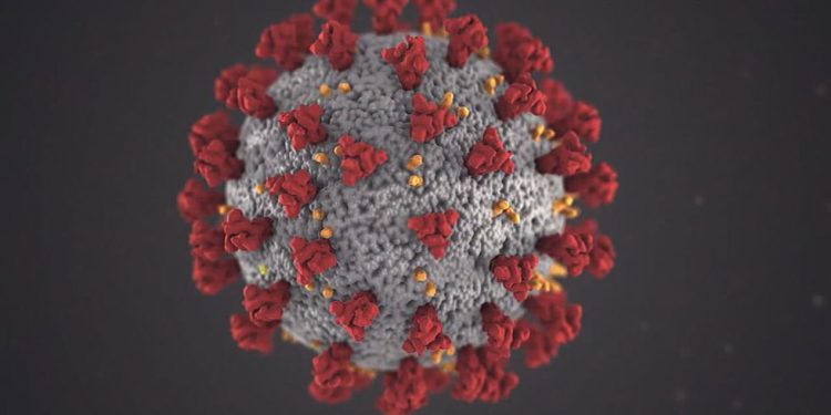 KU partners with Kansas counties to use COVID-19 funding effectively