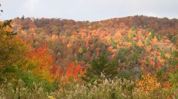 Why summer heat seems to be lasting longer