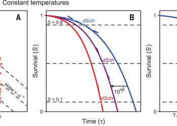 Predicting temperature mortality and selection in natural Drosophila populations