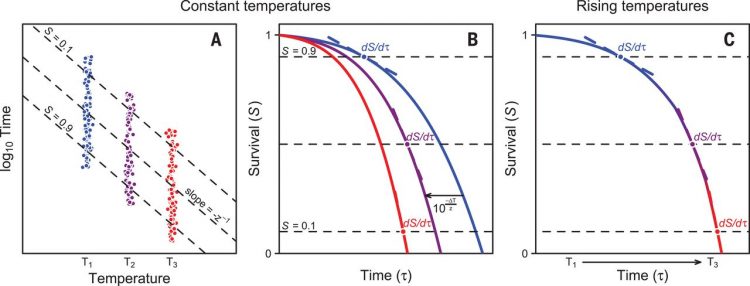 Predicting temperature mortality and selection in natural Drosophila populations