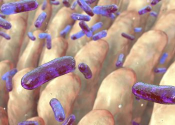 iMSMS Findings Offer Insight Into Gut Microbiome Involvement in MS