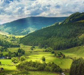 The impact of Covid-19 on Irish whiskey tourism