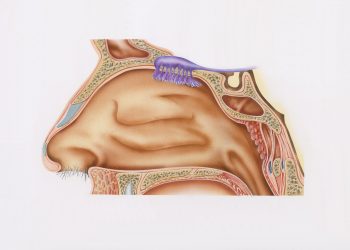 Racial/Ethnic Variations in Nasal Gene Expression of TMPRSS2 in COVID-19