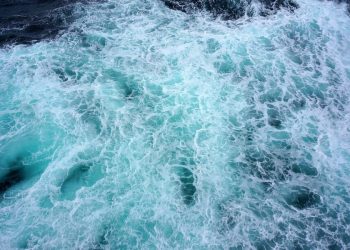 Tezos, Waves, Zcash Price Analysis: 20 September