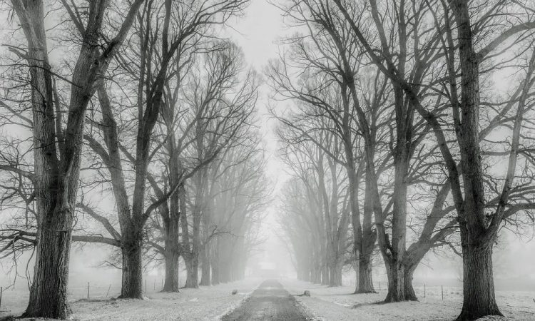 Bitcoin SV, Zcash, Cosmos Price Analysis: 6 September