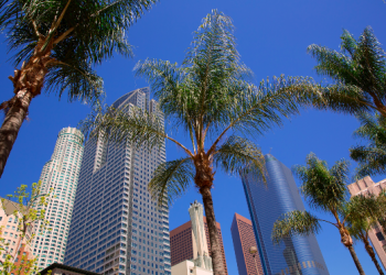Who Should Invest in a Qualified Opportunity Zone Fund?