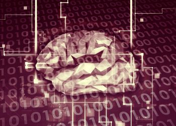 What We Need to Know about Adaptive Neural Networks