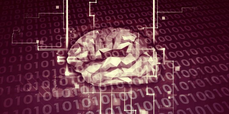 What We Need to Know about Adaptive Neural Networks