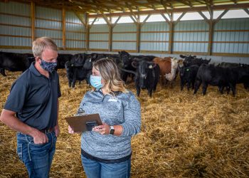Congress agrees on funding for farmers, hunger relief in spending bill to avert shutdown
