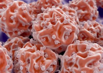 Study Identifies Factors Influencing Variability in Postthaw Product Quality of Donor Stem Cells
