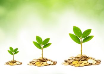 Market Industry net growth | News