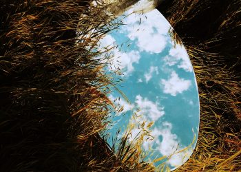 Why Are Bay Area Conservation Organizations So White?