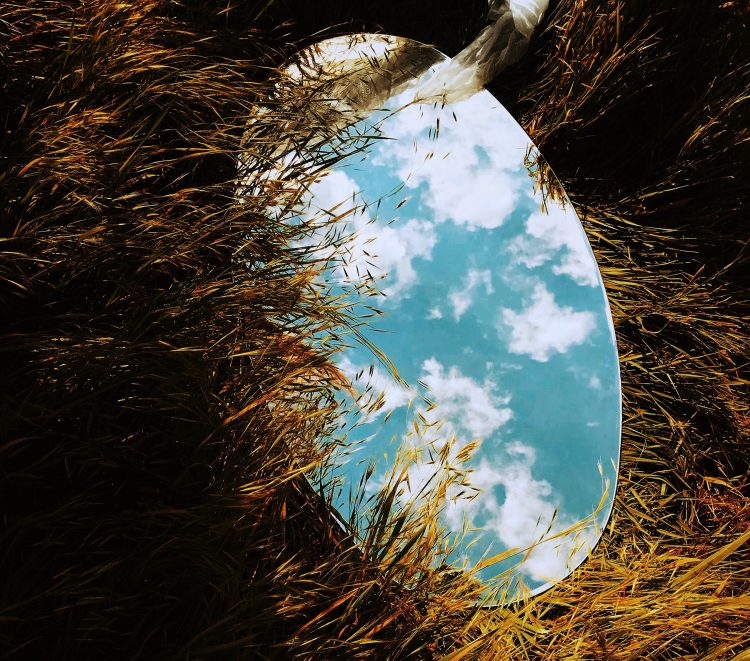 Why Are Bay Area Conservation Organizations So White?