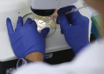 A self-inflicted crisis in biomedical research could delay discoveries and cures for years