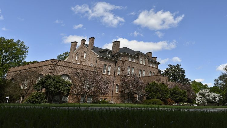 Meet the 2020-2021 Provost’s Faculty Fellows | College of Education