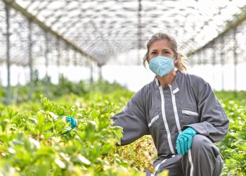 New report by food organisations shows how to thrive in lockdown | News