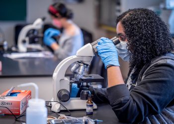 University Sees Record-Breaking Year In Grant Funding – News Center