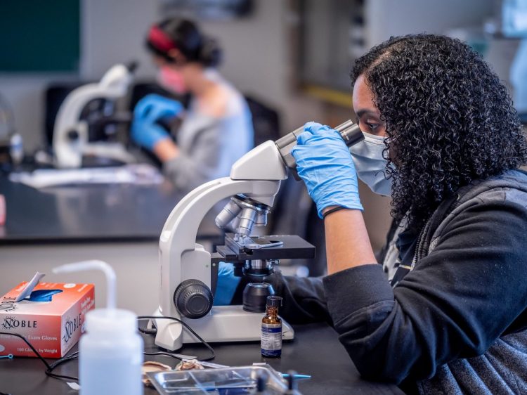 University Sees Record-Breaking Year In Grant Funding – News Center