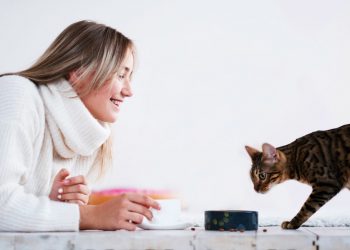 90% of pet owners willing to spend $100+ on pets each month | 2020-10-05