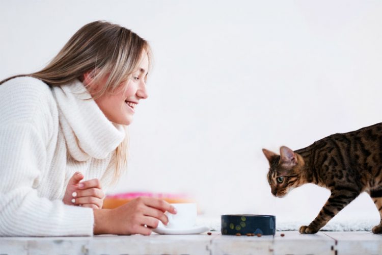 90% of pet owners willing to spend $100+ on pets each month | 2020-10-05