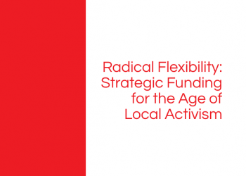 Radical Flexibility: Strategic Funding for the Age of Local Activism – World