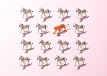5 Ways to Differentiate Your Products and Services in an Oversaturated Market