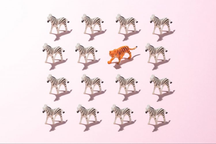 5 Ways to Differentiate Your Products and Services in an Oversaturated Market