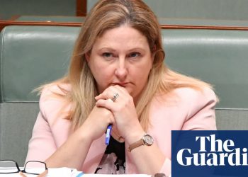 Can the Centre Alliance hold? Rebekha Sharkie faces ‘betrayal’ claims after universities vote | Centre Alliance