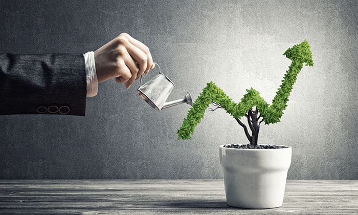 The Safest Portfolio Is The One That’s Just Been Raised: Selective Insurance Group Inc. (SIGI), Fluent Inc. (FLNT)