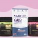 9 Best CBD Gummies for Anxiety 2020