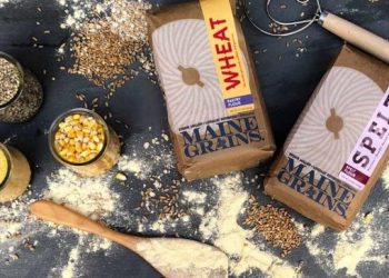 New e-grocer Hive looks to ride an online wave