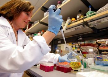 California Proposition 14: Funding medical research that uses stem cells