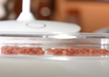 Lab-grown meat project gets first taste of EU public funds – TechCrunch