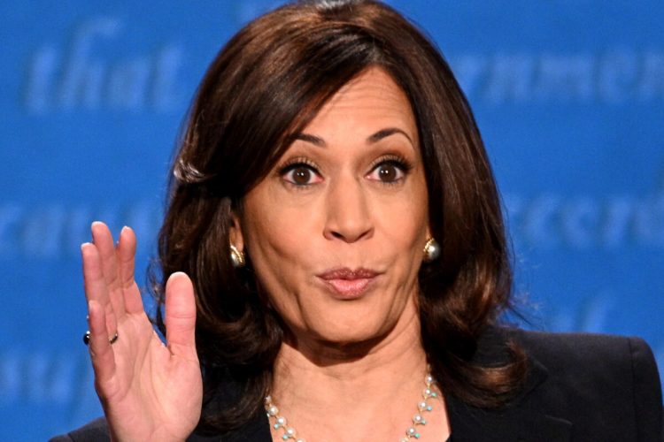 Focus Group’s ‘Biggest Takeaway’: Michigan Swing Voters Believe Harris Will Act As President; Leads Some To Go Trump