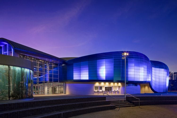 Aquarium of the Pacific to host free virtual courses exploring long-term societal effects of the pandemic – Press Telegram