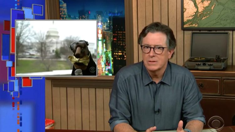 Triumph the Insult Comic Dog’s Focus Group for Trump Supporters Proves They’ll Defend Anything
