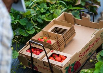 “The pandemic was only a speedbump, demand for sustainable packaging continues to grow”