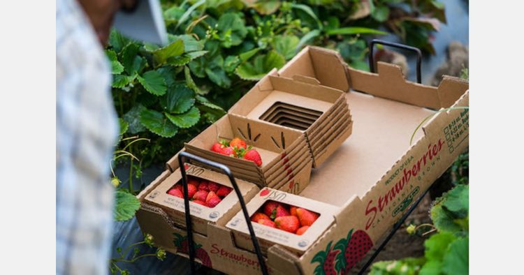 “The pandemic was only a speedbump, demand for sustainable packaging continues to grow”