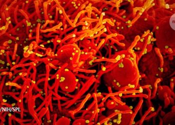 COVID-19 reinfections raise immunity questions