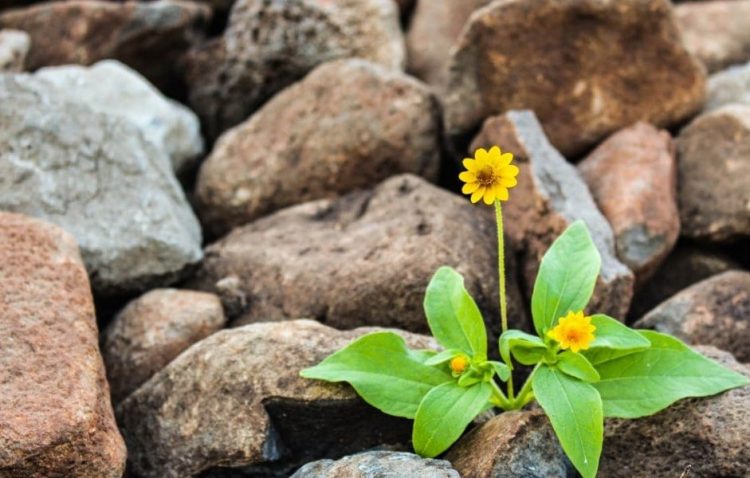 Resilience > Accuracy: Why ‘model resilience’ should be the true metric for operationalizing models