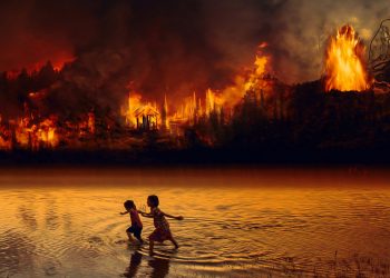 Amazon Near Tipping Point of Changing From Rainforest to Savannah