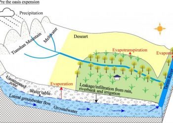 Scientists examine evolutionary features and drivers of groundwater in the oasis…