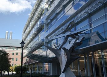 UConn funds COVID-19 research through COVID-19 Research Seed Funding