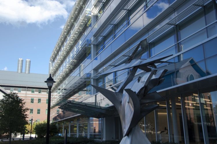 UConn funds COVID-19 research through COVID-19 Research Seed Funding